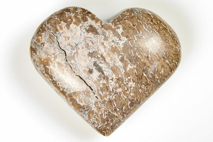 2.45" Polished Dinosaur Bone (Gembone) Heart - Morocco